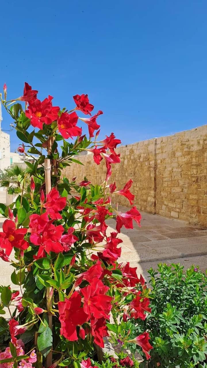 H2O Giovinazzo Villa Eksteriør bilde